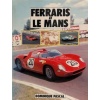 ferraris-lemans